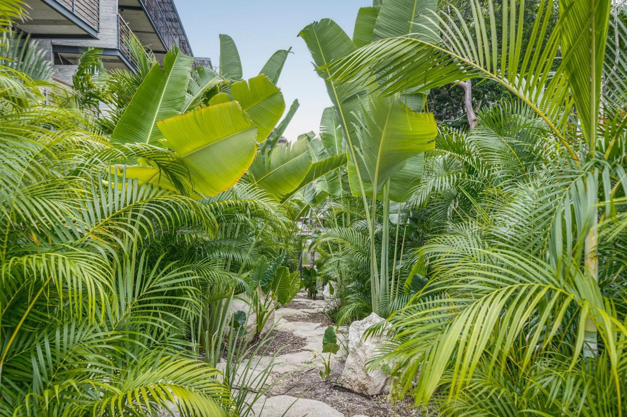 Waterworld Tulum 2Br W Cenote -Lagoons - Big Gym 外观 照片